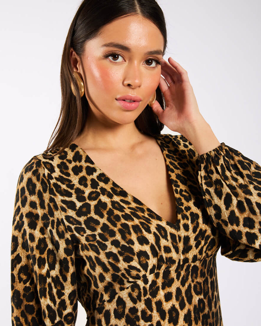 Brown Animal Printed Long Sleeve Midi Dress details
