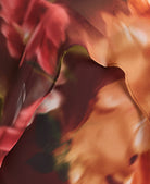 Brown floral chiffon print close up