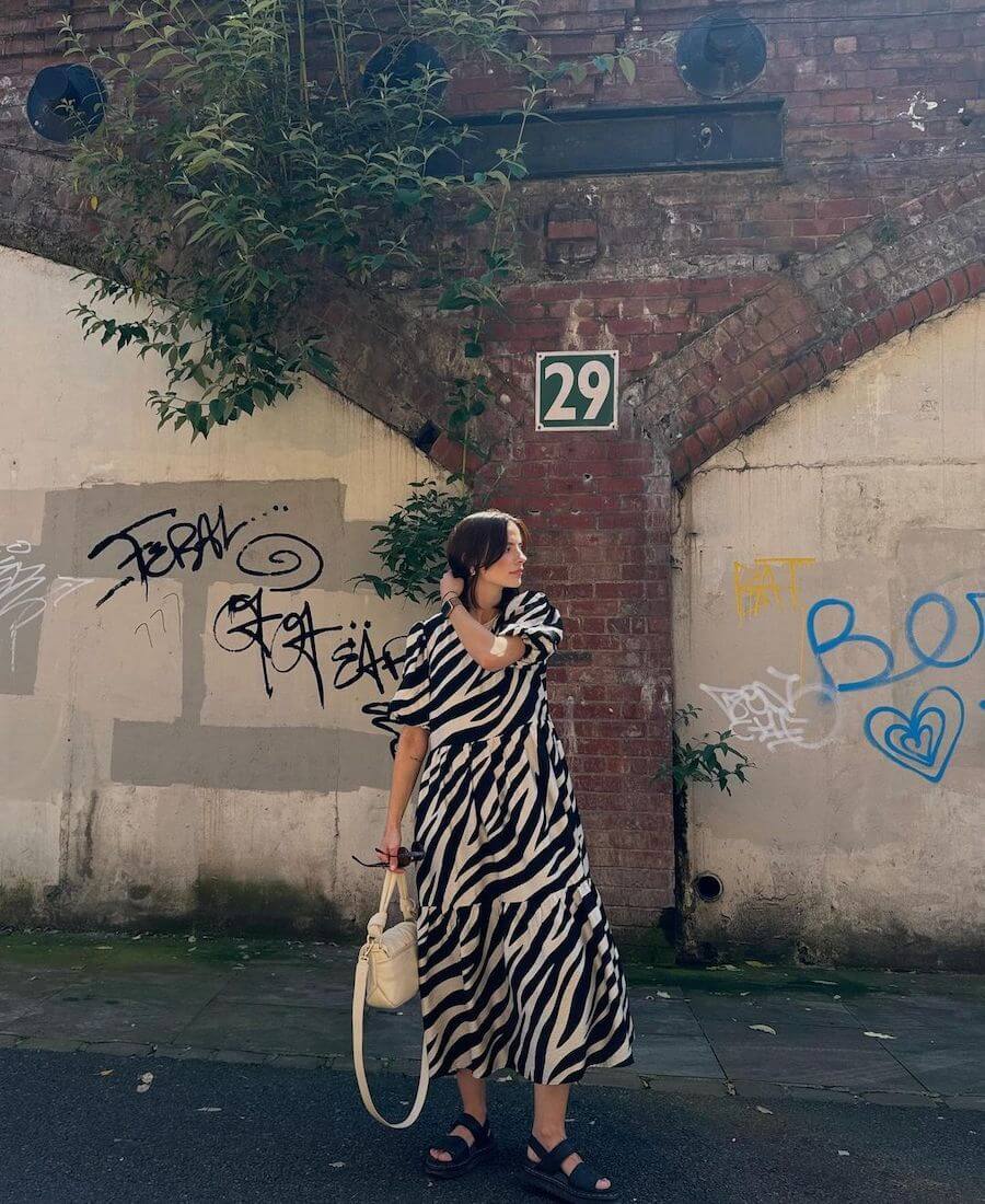 animal dress zebra